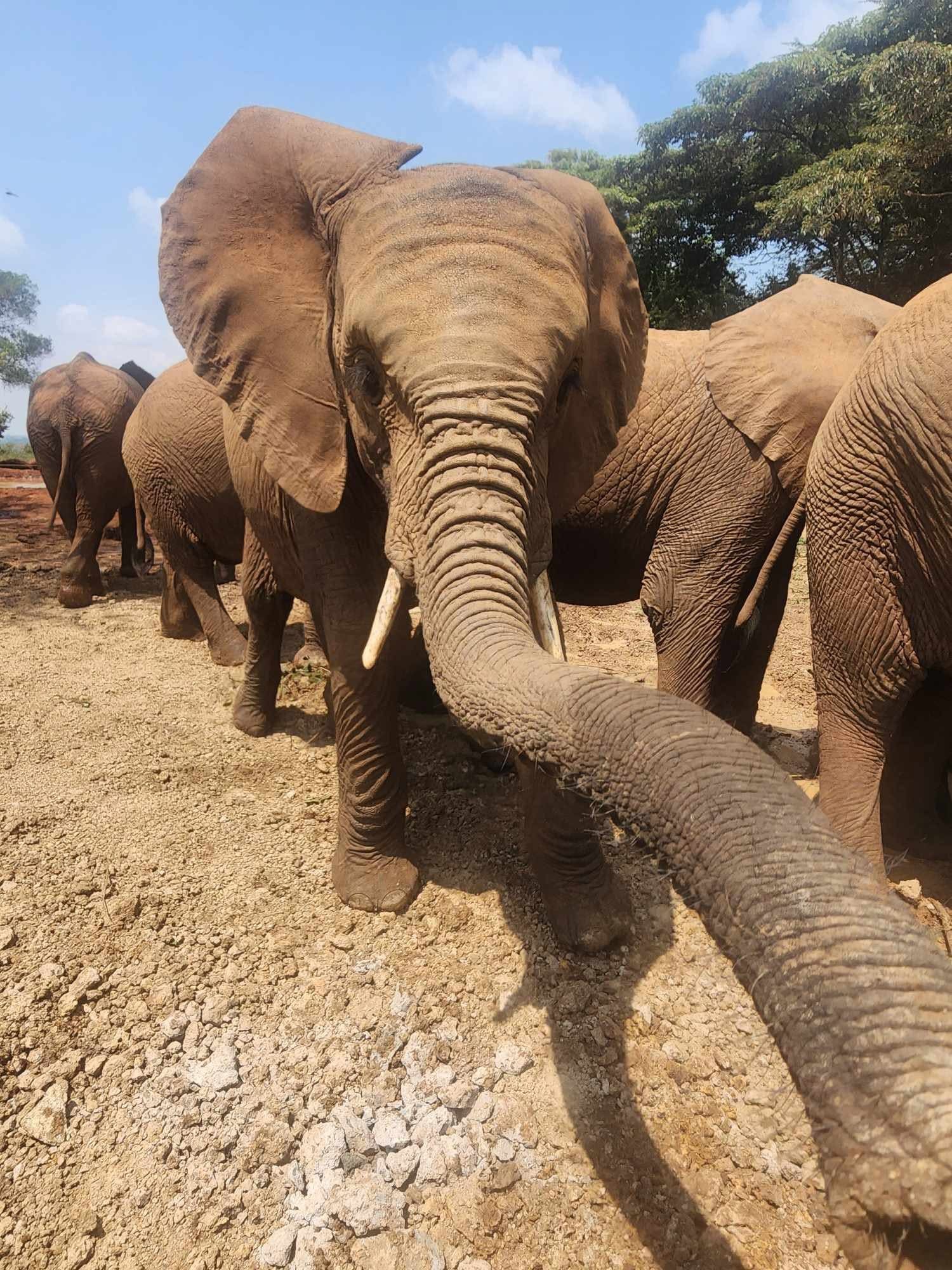 Kenya photo 4