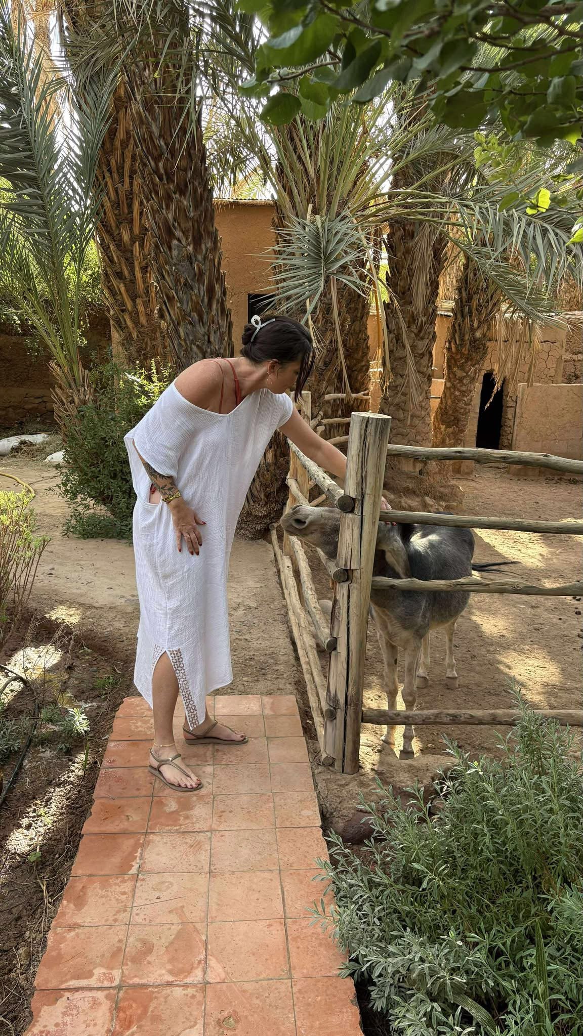 Morocco photo 5